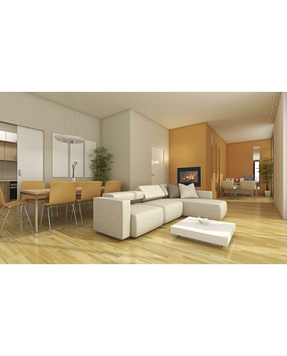 BeF Effi  BeF Home Kaminkassette