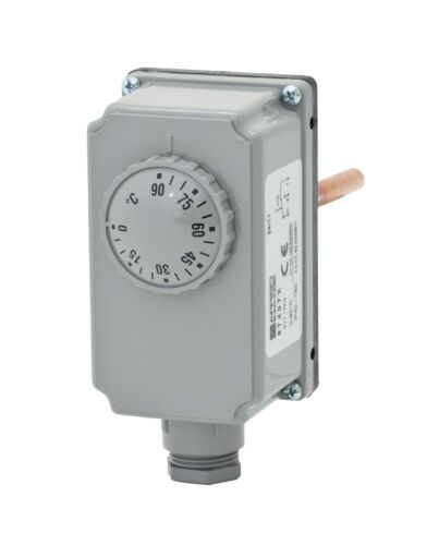 ESBE TIA122 Tauchthermostat