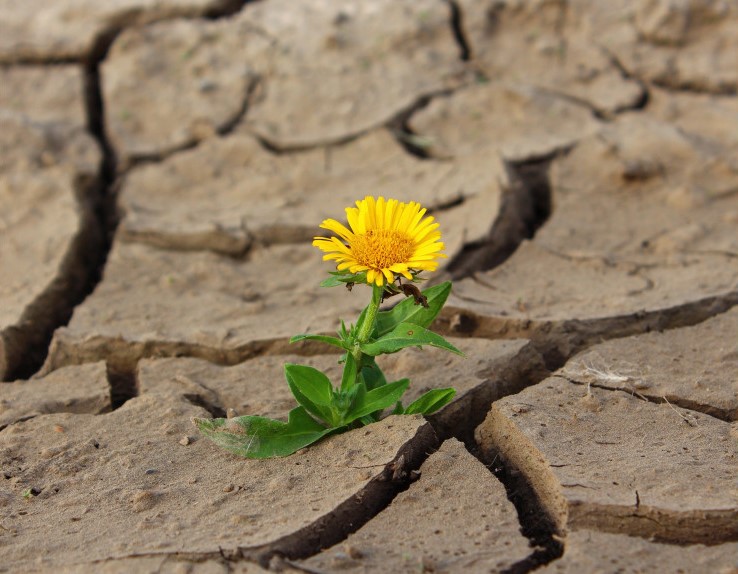 Zukunftstrend: heiße Sommer | Klimaworld