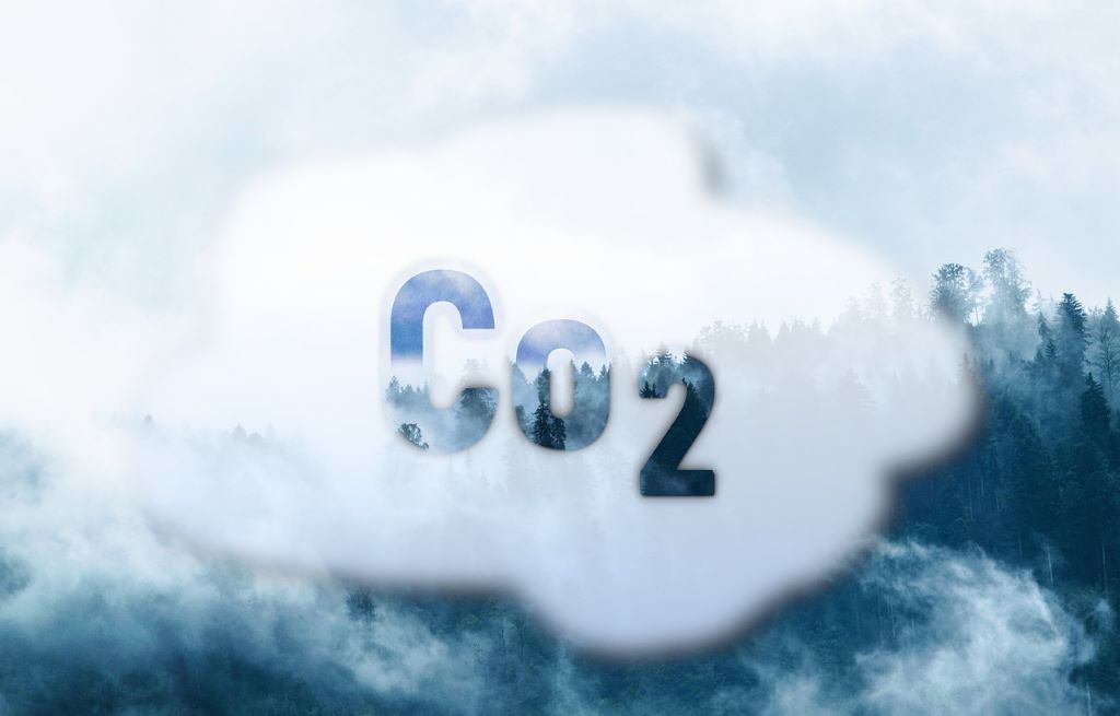 Ist eine Pelletheizung CO2-neutral? | Klimaworld